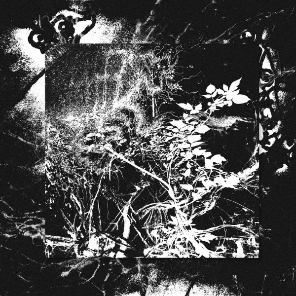 Thamanghul - Тамангул(ь)