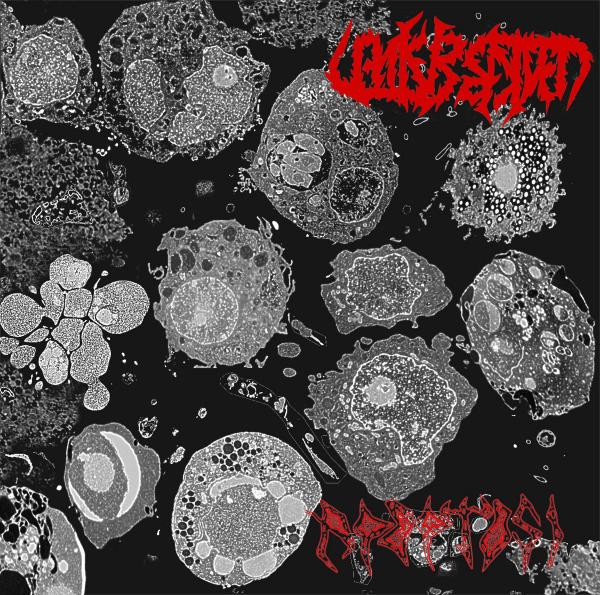 Unkreated - Apoptosi