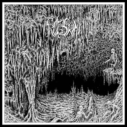 Frogskin - III - Into Disgust