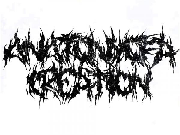 Anatomy Of A Creation - Discography (2013 - 2023)