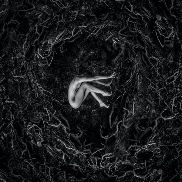 Fvnerals - Let the Earth be Silent (Lossless)