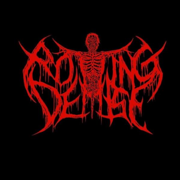 Rotting Demise - Discography (2019 - 2023)