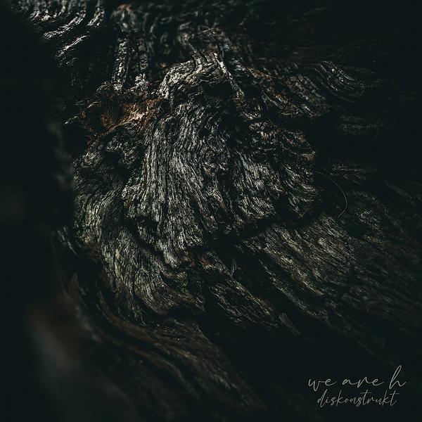 We Are H - Diskonstrukt