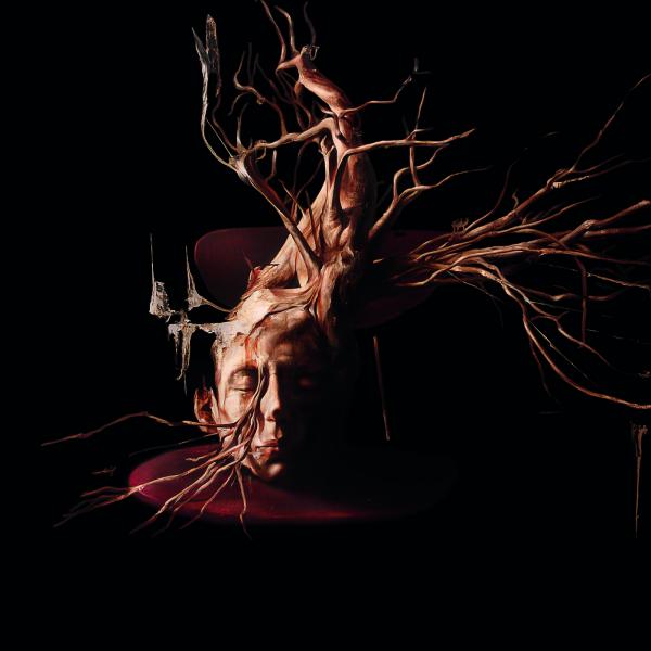 Swan Valley Heights - Terminal Forest (Lossless)