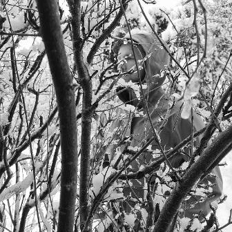 Skuggor - Discography (2022 - 2025)