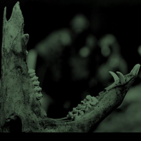 Nekus - Discography (2020 - 2023)