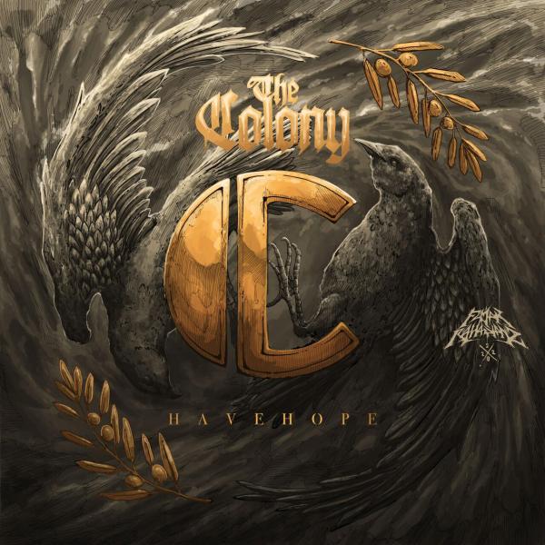 The Colony - Have Hope (Lossless)