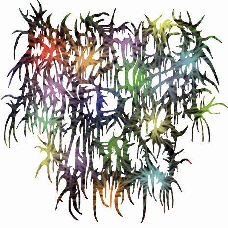 Blindfolded And Led To The Woods - Discography (2011 - 2025)