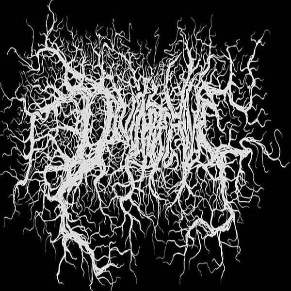 Divinite Hive - Discography (2023-2024)