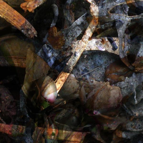 The River - A Hollow Full Of Hope