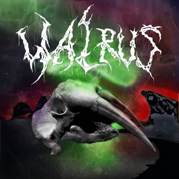 Walrus - Discography (2021 - 2023)