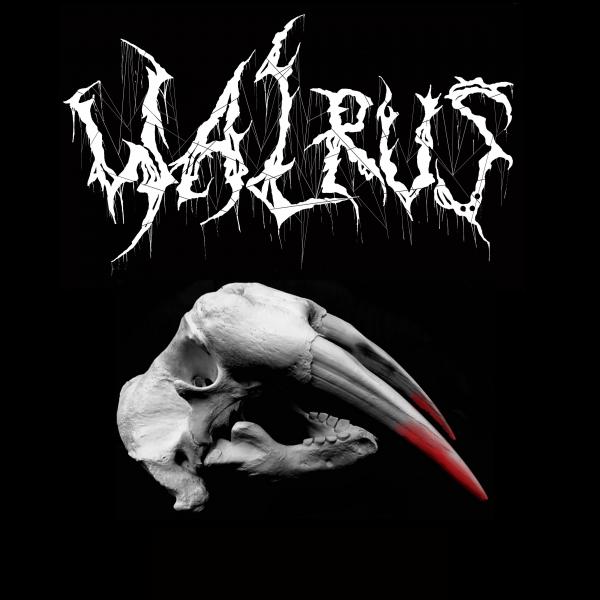 Walrus - Discography (2021 - 2025)