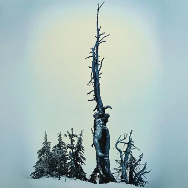 Kurgan - Ascetic Dissociations