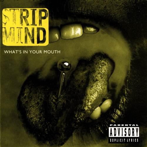 Strip Mind - Discography (1993) (Lossless)