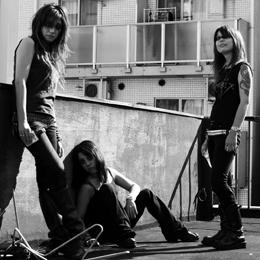 Gallhammer - Discography (2004-2011) (Lossless)