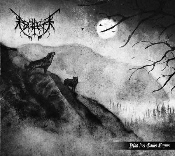 Isolfur - Discography (2010 - 2017)