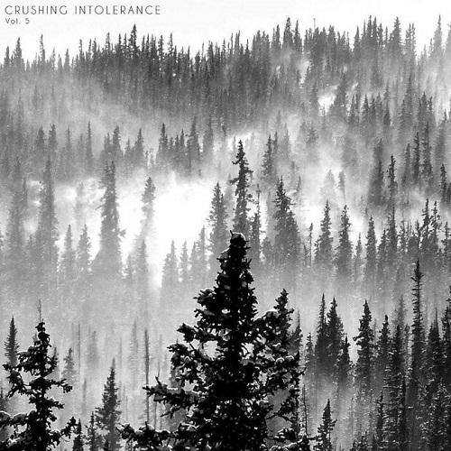 Various Artists - Crushing Intolerance (Compilation) (2014 - 2017) (Upconvert)