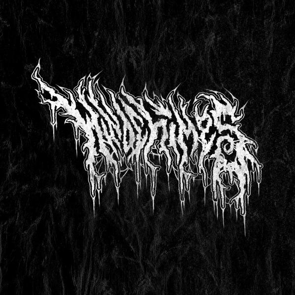 Windchimes - Discography (2020 - 2025)