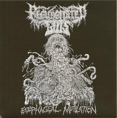 Regurgitated Guts - Esophageal Mutilation (EP) (Hi-Res) (Lossless)