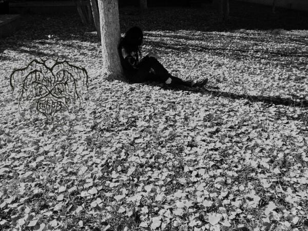 Llanto de la Tierra - Otoño en Melancolia (Lossless)