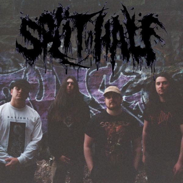 Split In Half - Discography (2023 - 2025)