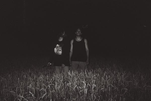 Niente - Discography (2022) (Upconvert)