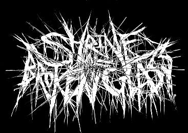 Shrine Of Broken Glass - Discography (2021 - 2024)