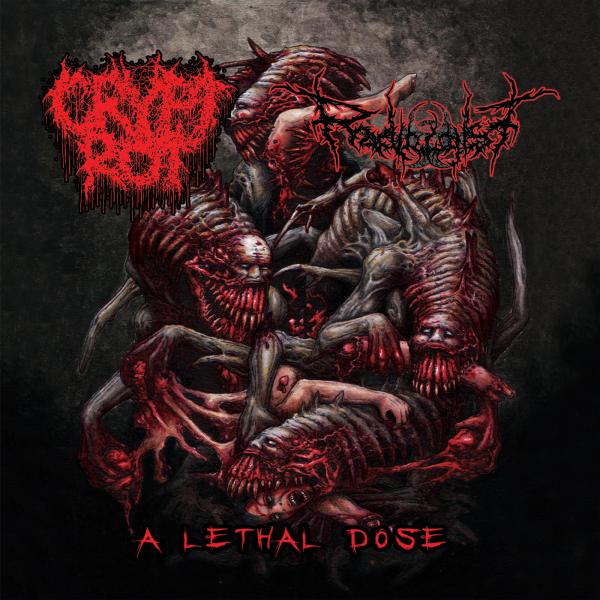 Crypt Rot - Discography (2022-2024)