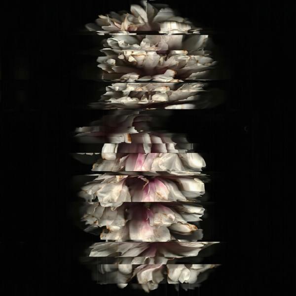 Blackshape - Blackshape