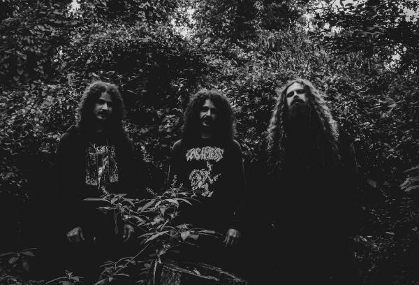 Disrotter - Discography (2020 - 2024) (Lossless)