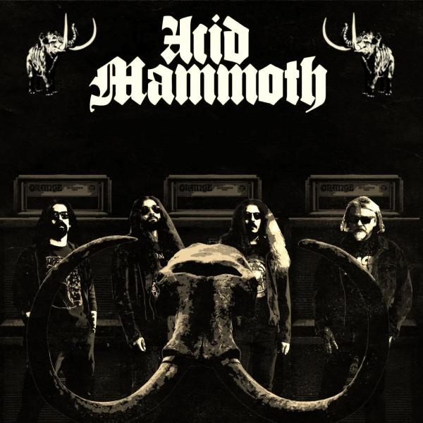 Acid Mammoth - Discography (2017 - 2024) (Lossless)