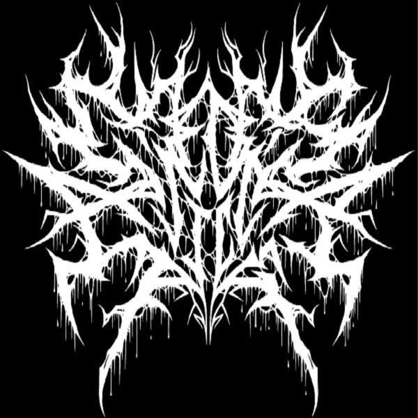 Species Splicer - Discography (2017-2024)