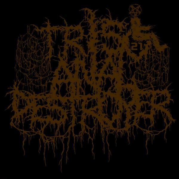Triso Anal Destroyer - Discography (2020 - 2021) (Lossless)