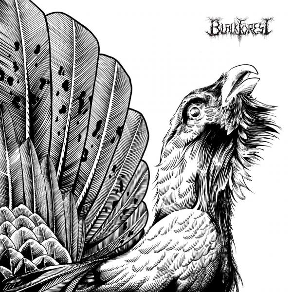 Black Forest - Black Forest