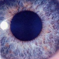 Dan Swanö - Moontower (Lossless)