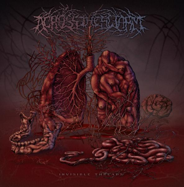 Across The Swarm - Invisible Threads