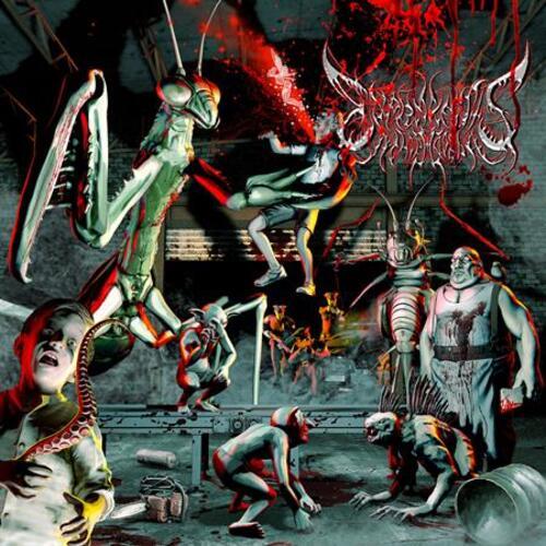 Ailiph Doepa - (アイリフドーパ) - Exormantis