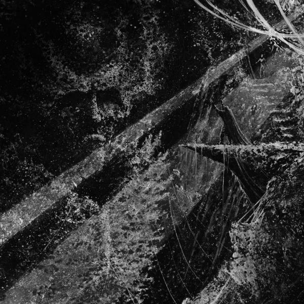 Wiedergänger - Stillborn Grace of Liberty (Upconvert)