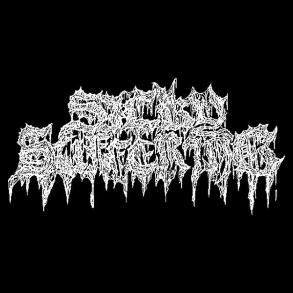 Silky Suffering - Discography (2024 - 2025) (Upconvert)