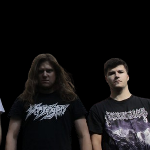 Processor - Discography (2018 - 2020)