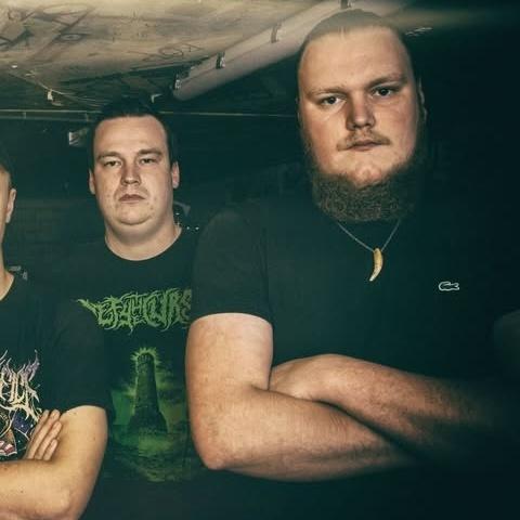 Cellarpigs - Discography (2022 - 2025)