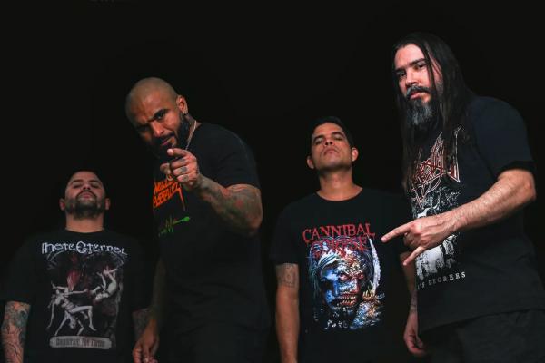 Confounded - Discography (2013 - 2025)