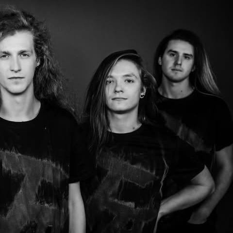 Terror Activator - Discography (2019 - 2025)