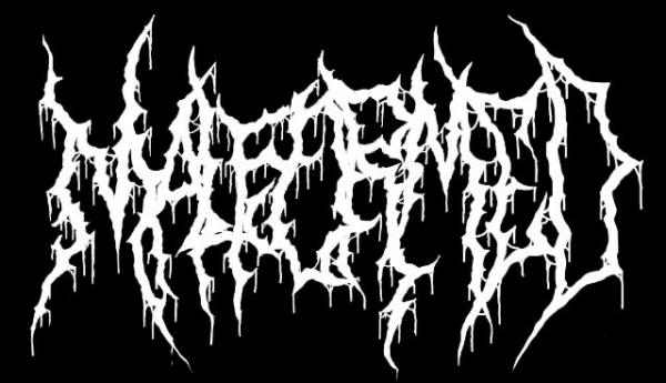 Malformed - Discography (2022 - 2025)