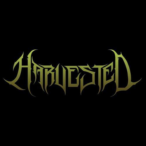 Harvested - Discography (2022 - 2025)