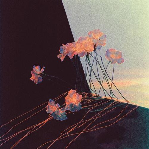 Shane Driscoll - Sounds In The Dark Oppression Break