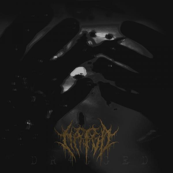 Hated - Discography (2018 - 2025)