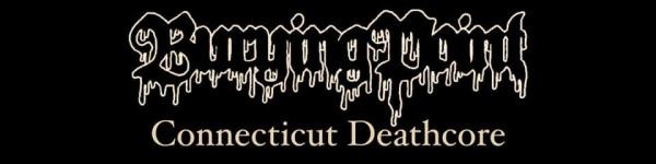 Burying Point - Discography (2023 - 2025)