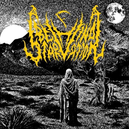 Behind Starvation - The Grief Sower  (EP)