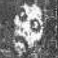 Wintergrau - Discography (2022 - 2025)